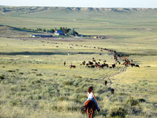 USA-Colorado-Cowboy Adventure in Colorado